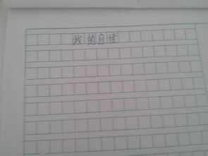 我的自傳時間作文開頭結(jié)尾