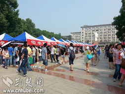 記者考研現(xiàn)場調(diào)查報(bào)告(記者現(xiàn)場報(bào)道稿件)