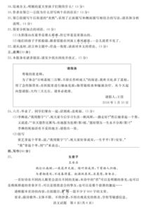 關(guān)于友誼的中考滿分作文(關(guān)于友誼的中考滿分作文)