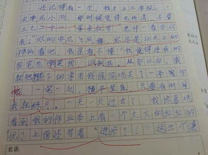 一次難忘的發(fā)現(xiàn)作文600字作文開頭怎么寫