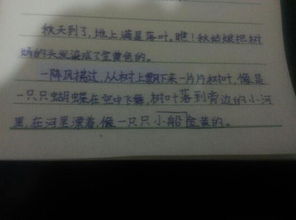 描寫落葉作文開頭