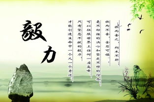關(guān)于毅力的議論文(關(guān)于毅力的議論文)