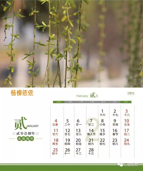 2018紅月亮作文開(kāi)頭