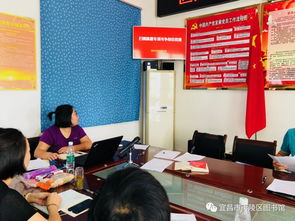 黨員黨日活動感想(黨日活動感想)