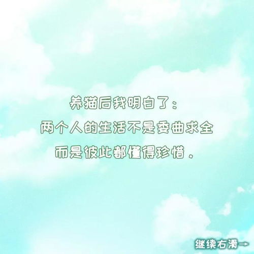 關(guān)于慢慢的我懂了寬容的作文開頭