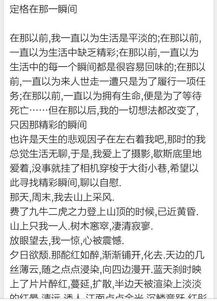 時間在那一刻定格作文600字作文開頭結(jié)尾