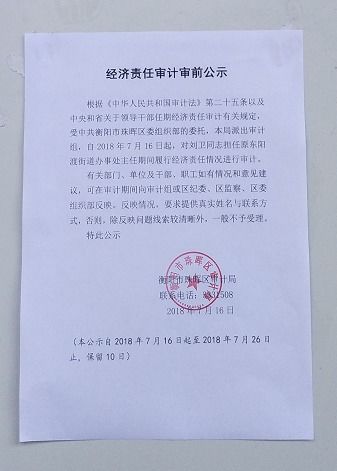 任期經濟責任審計的審前公告范文(經濟責任審計的審前調查)