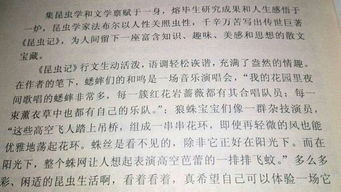 跑步的體驗與感受作文開頭