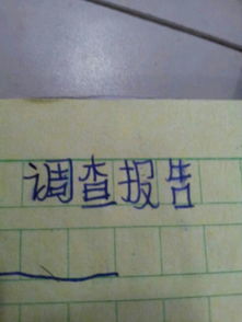 地名調(diào)查報(bào)告(地名調(diào)查報(bào)告)