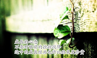 初一成長的作文開頭結(jié)尾