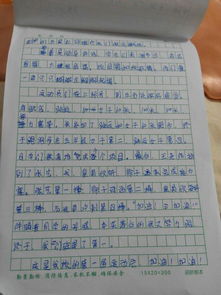 有趣的運(yùn)動(dòng)會(huì)作文二級(jí)開(kāi)頭