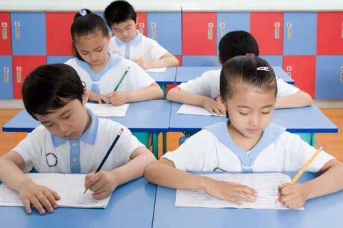 寫情感感人作文開頭