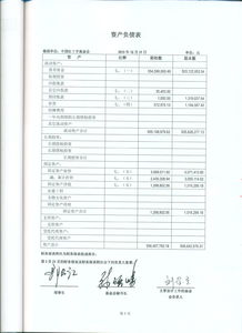 會計報表審計報告(會計報表審計報告)