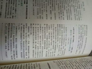 談美的議論文600字作文開頭