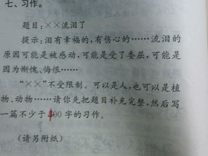 他怎么了作文500字五級開頭