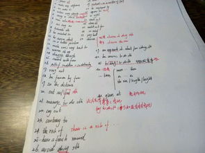 高中作文暑假逸事開(kāi)頭