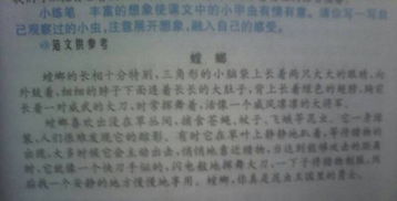 關于觀察蟲子的作文(關于觀察蟲子的作文)