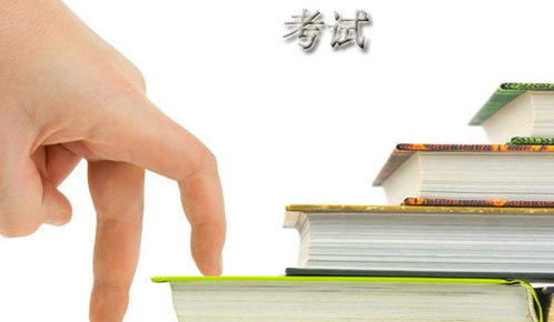 作文考試中的酸甜苦辣開頭