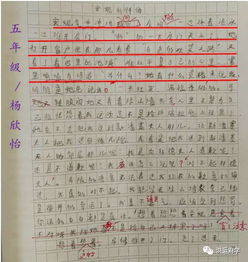 五級作文信任開頭結(jié)尾