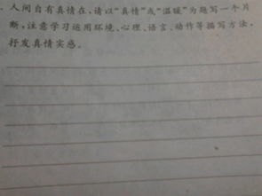 一次溫馨的真情體驗作文開頭