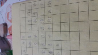 我當(dāng)小導(dǎo)游作文開頭