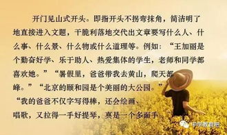 請讓我來幫助你好的作文開頭