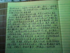 選擇好奇作文開(kāi)頭