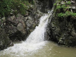 大自然的奇跡作文600字作文開頭