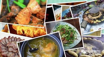 關(guān)于燒烤整治的倡議書(關(guān)于燒烤整治的倡議書)