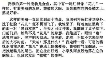 關(guān)于在乎為話題的作文開頭