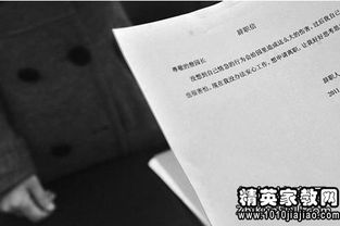 公文報告的格式(公文命令的格式)