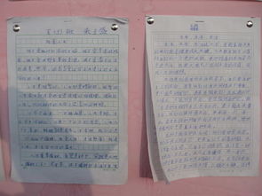 生活因誠實而精彩作文開頭