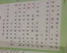 寫潮汕特色飲食作文開頭