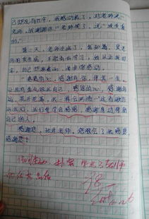 最敬佩的人作文好開(kāi)頭和結(jié)尾