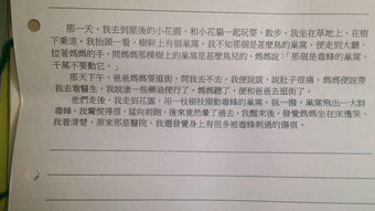 以動寫一篇作文的開頭