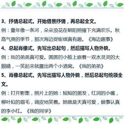 關于花老師作文開頭結尾怎么寫