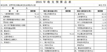 工作經(jīng)費預(yù)算報告(工作經(jīng)費預(yù)算報告)