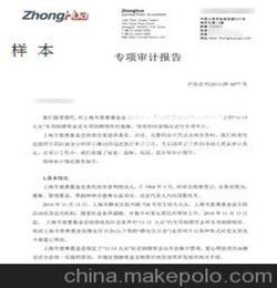 專項(xiàng)審計(jì)報(bào)告范文(專項(xiàng)審計(jì)報(bào)告范文)