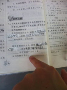 關(guān)愛生命作文修辭手法開頭65字