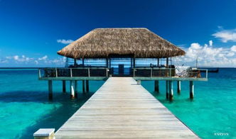 寫(xiě)景抒情600字作文開(kāi)頭