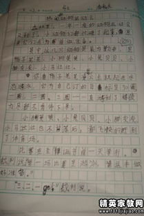 我眼中的運動會作文好的開頭