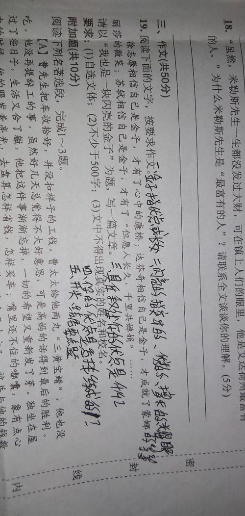 我是一塊閃亮的金子作文開頭