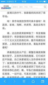 菜市場的作文開頭