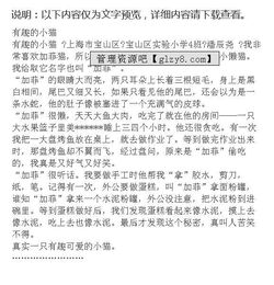 關(guān)于中考貓作文開頭