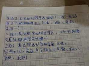 善于小結(jié)的竹子作文(善于小結(jié)的竹子小學(xué)生作文)