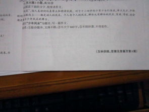 關(guān)于風(fēng)采的作文:少年風(fēng)采(關(guān)于少年風(fēng)采作文(精選))