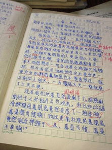 看花真開(kāi)心這篇作文的開(kāi)頭和結(jié)尾