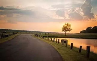 成功作文開(kāi)頭結(jié)尾優(yōu)美段落