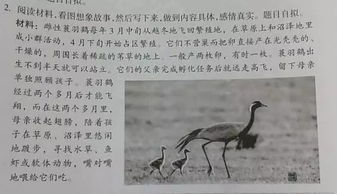 關(guān)于動(dòng)物的想象作文(關(guān)于動(dòng)物的想象作文)