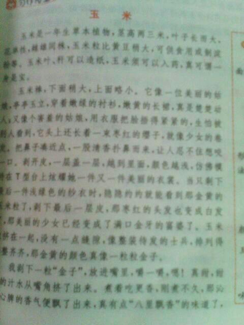 解釋物品作文開頭